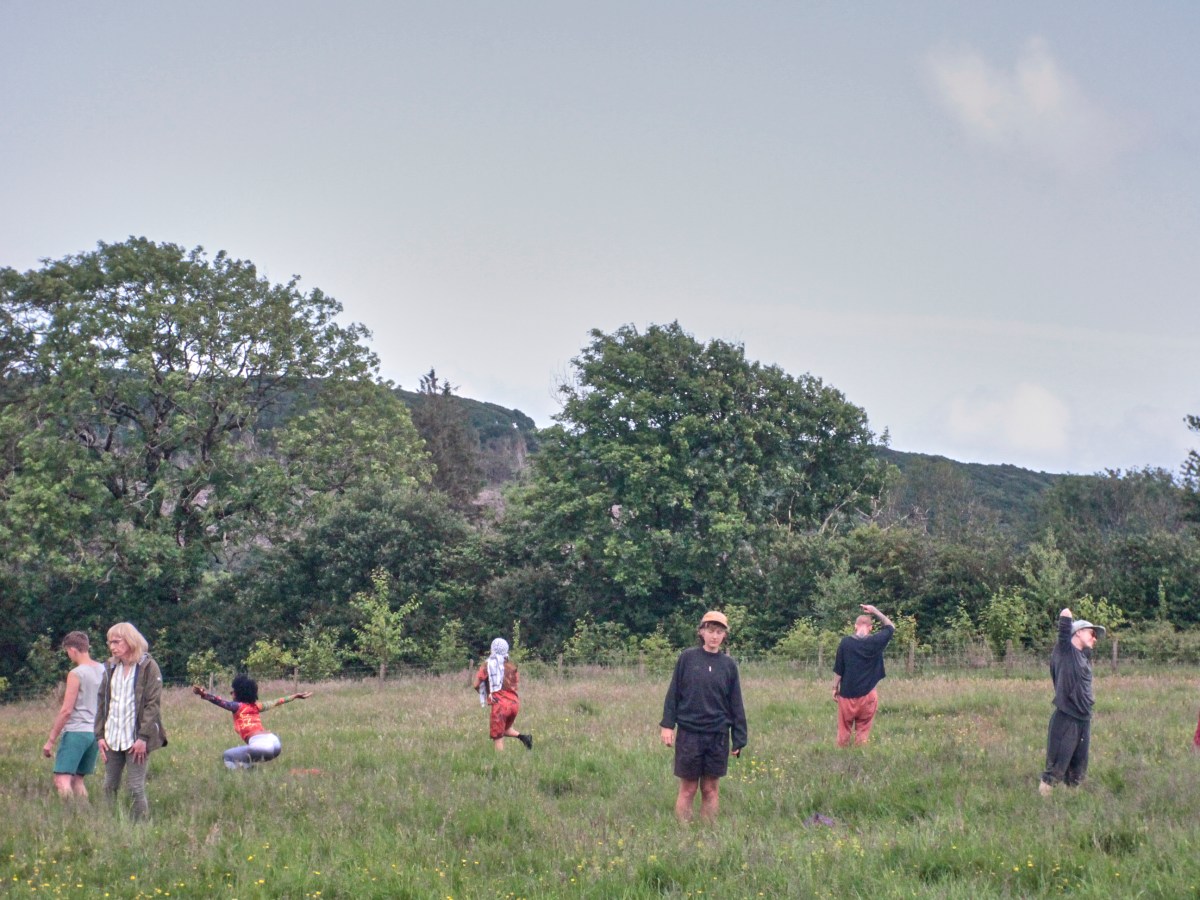 Teasel hibernation: a letter and an&nbsp;update