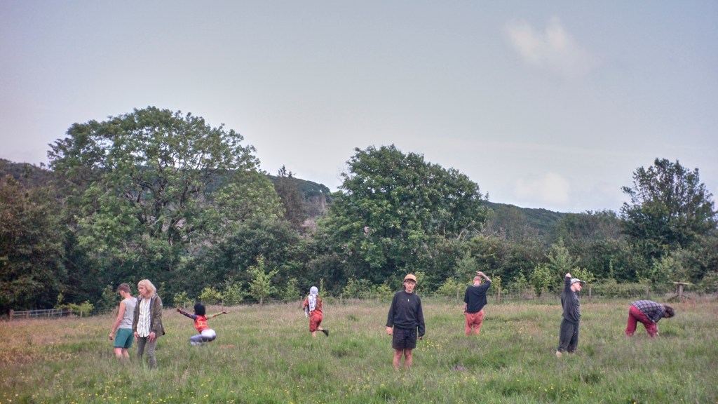 Teasel hibernation: a letter and an&nbsp;update